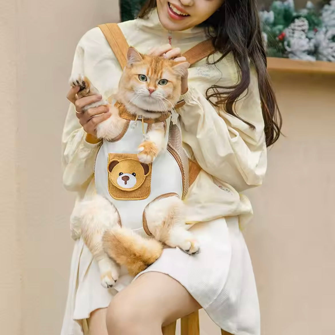 carry cat
