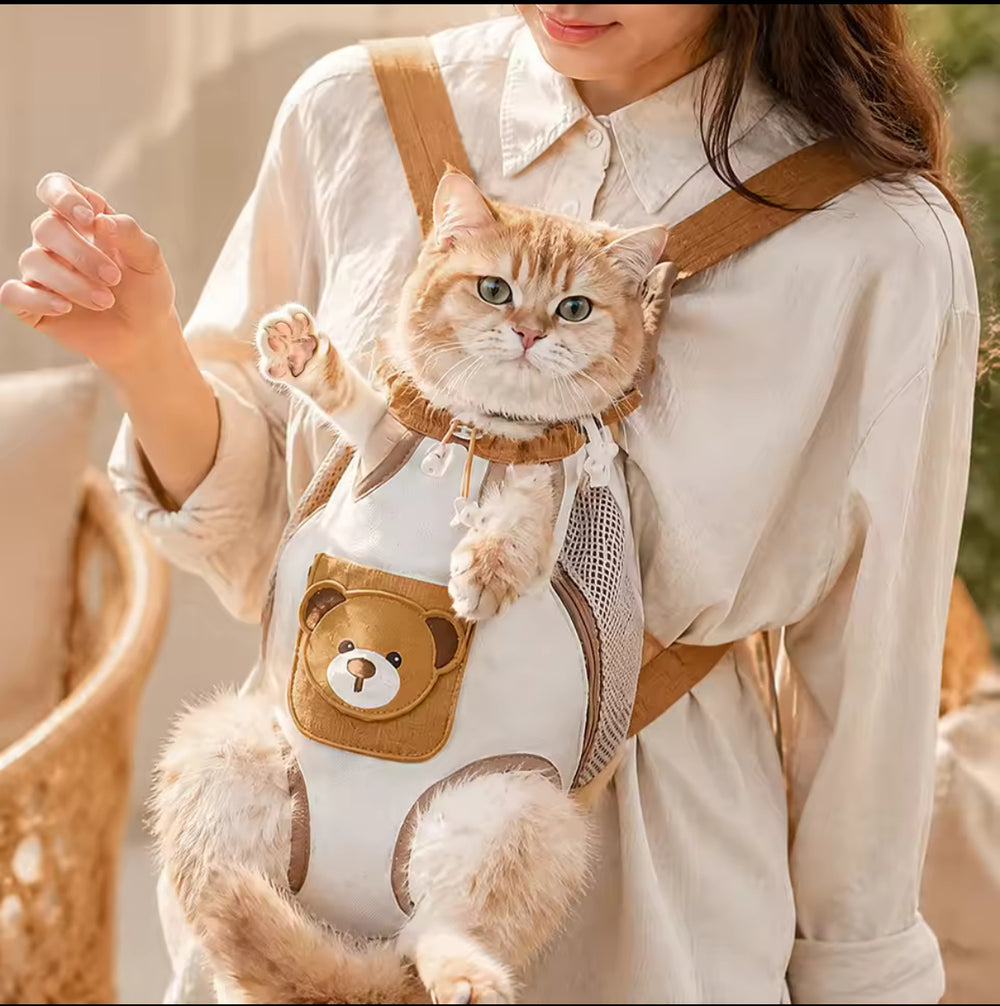 carry cat