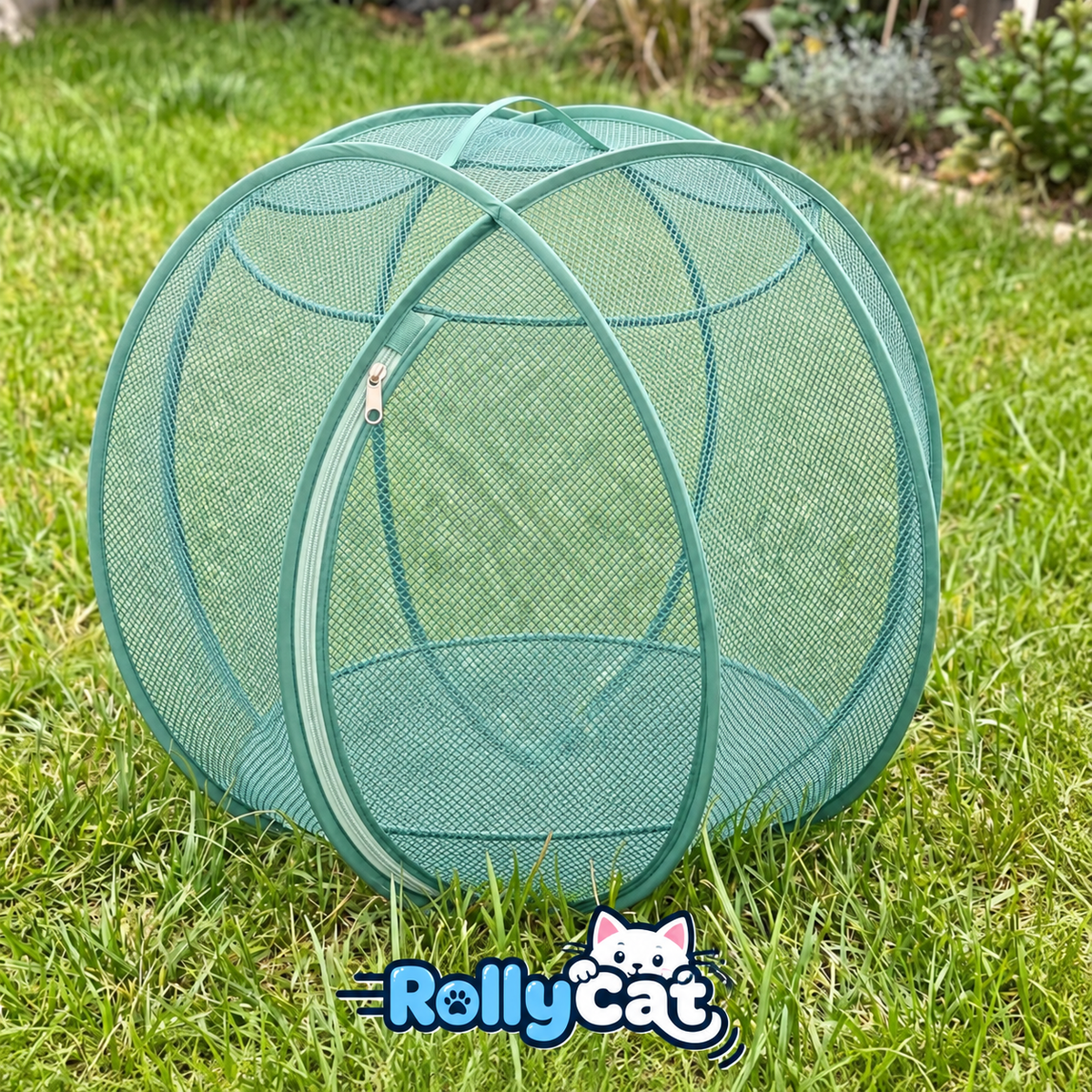 rolly cat