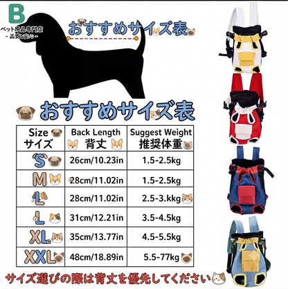 carry cat
