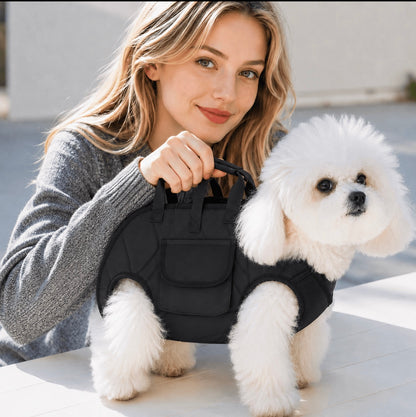 carry dog