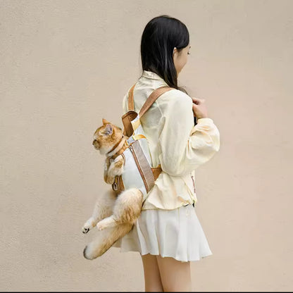 carry kitty