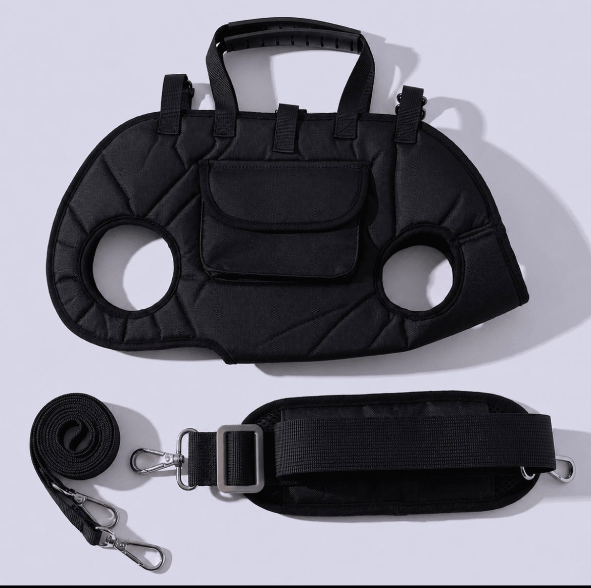 carry dog