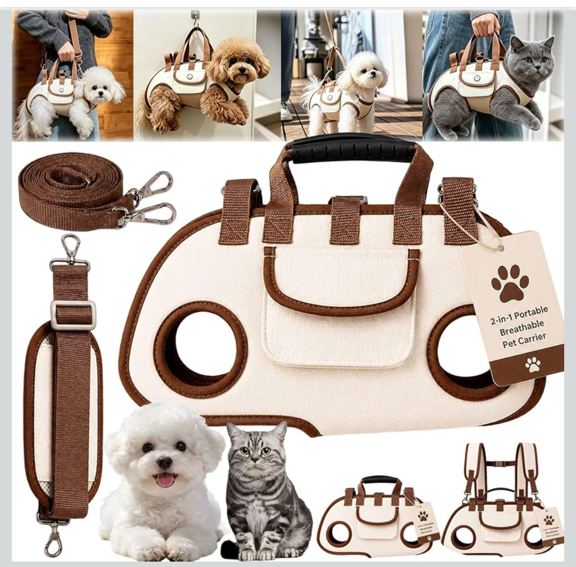 carry dog