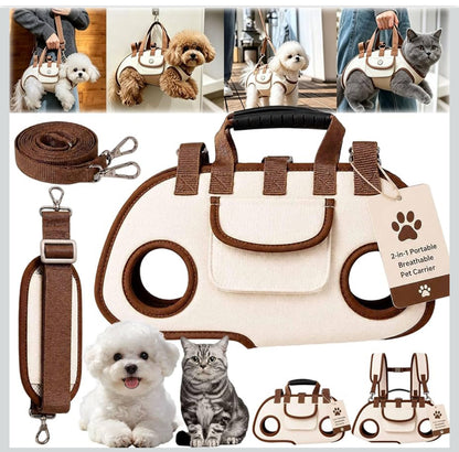 carry dog